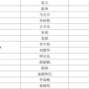 明星排名大全,揭秘娱乐圈风云变幻，盘点年度璀璨星辉